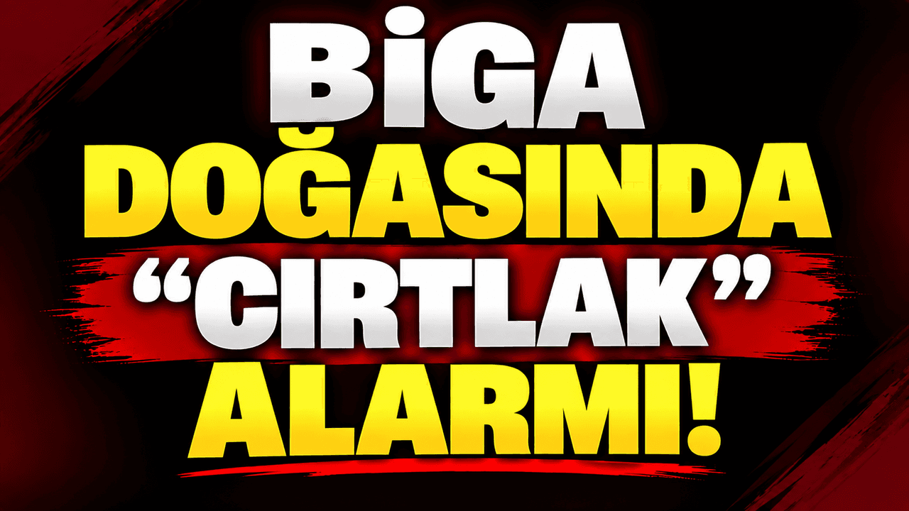 Biga doğasında “Cırtlak” alarmı!