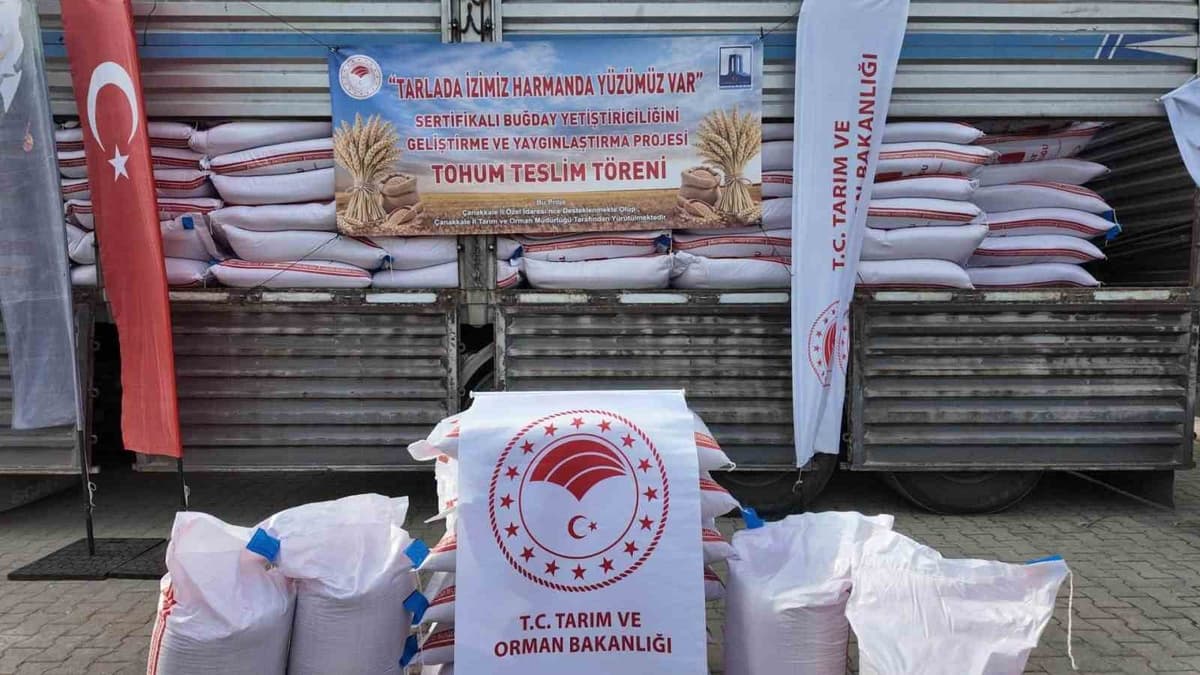 Gelibolu ve Eceabat’ta 55 Çiftçiye 62,5 Ton Esperia Buğday Tohumu Dağıtıldı