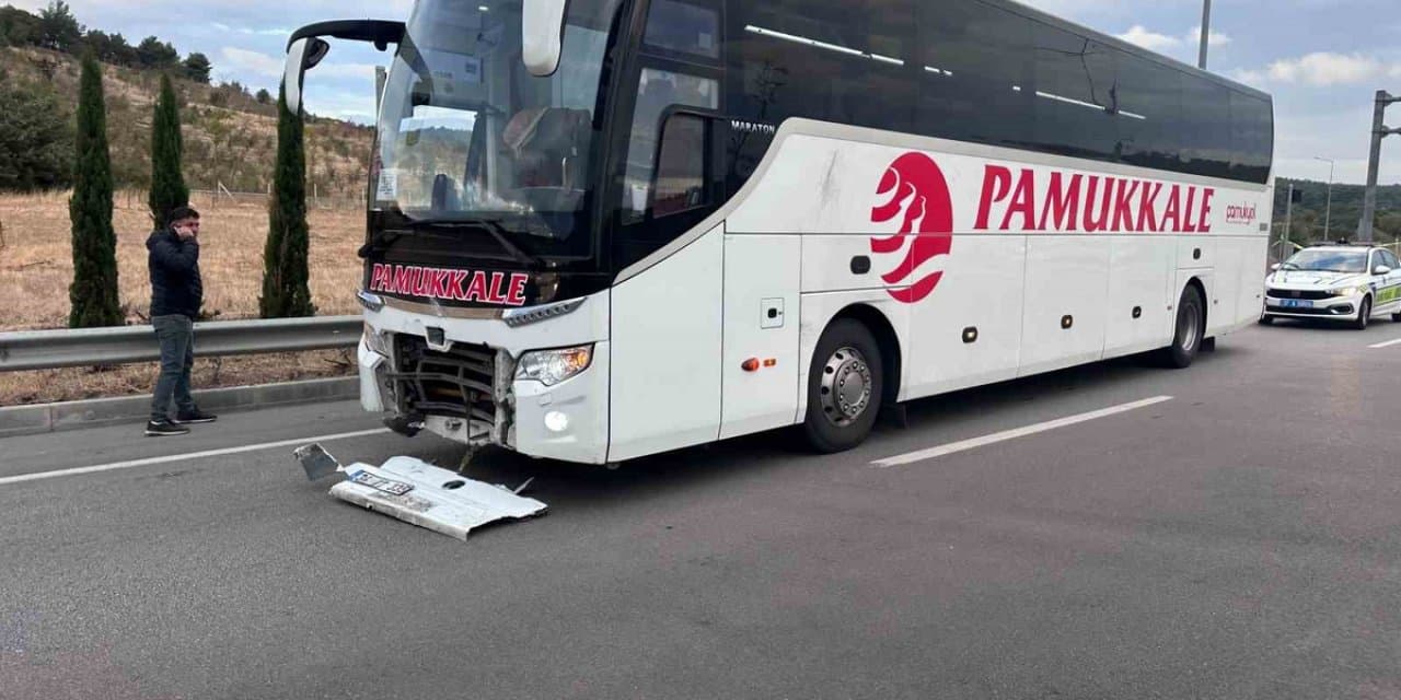 Ayvacık Troya Tüneli Kavşağında Otobüs Çarpmasıyla 2 Kişi Hayatını Kaybetti, 3 Köpek Ölümle Yüzleşti