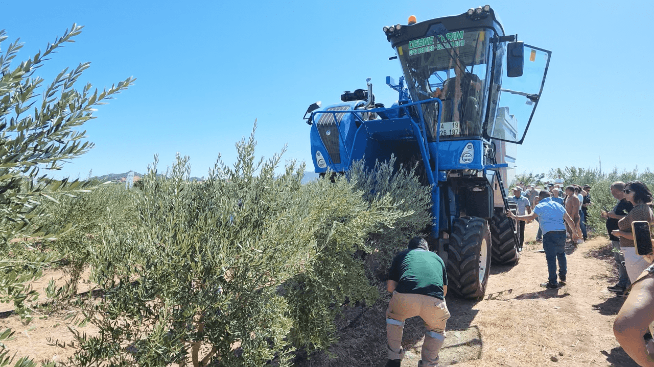 Zeytin Tutkunları Çanakkale’ye Akın Etti