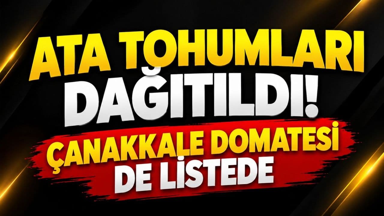 Ata Tohumları Dağıtıldı! Çanakkale Domatesi de Listede