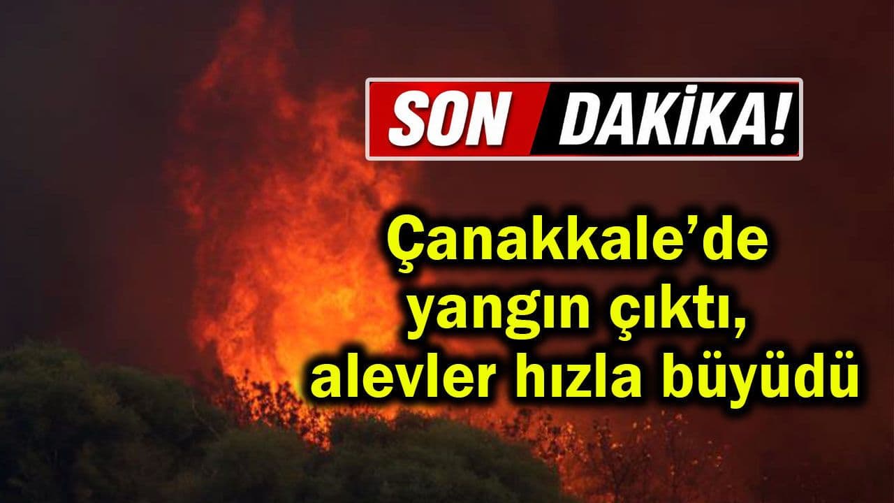 Çanakkale’de Lapseki köyü yakınlarında çıkan yangın kontrol altına alındı
