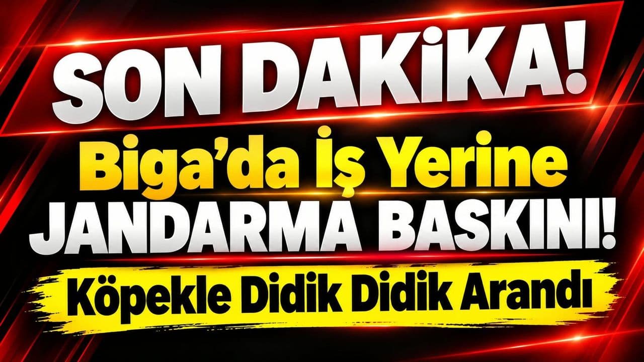 İş Yerine Jandarma Baskını! Köpekle Didik Didik Arandı Biga’da