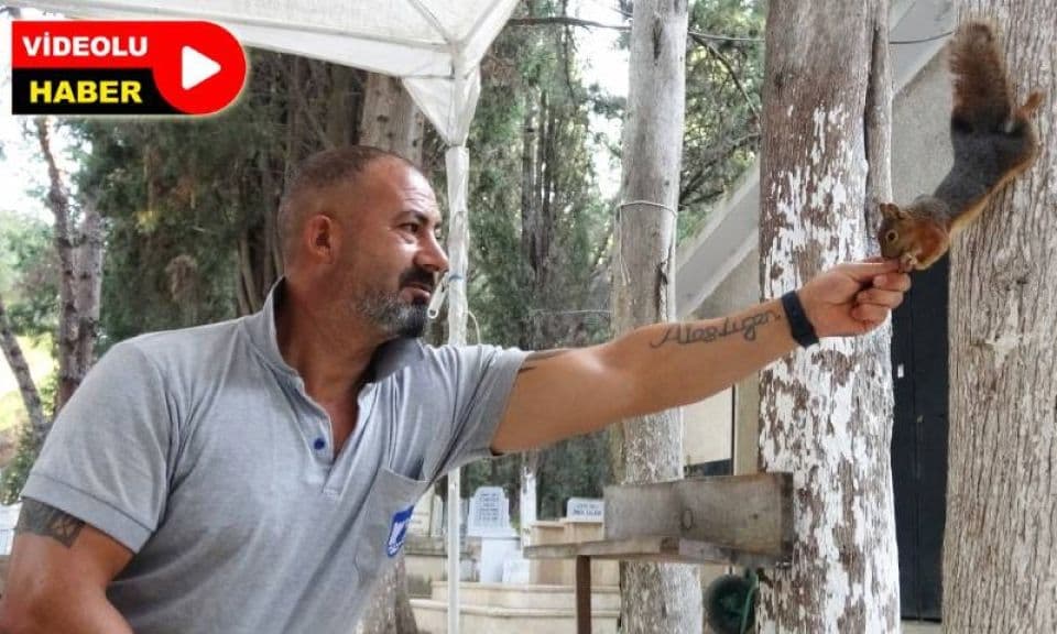 Çanakkale'de mezarlık görevlisinin sincaplarla kurduğu dostluk görenlerin içini ısıttı