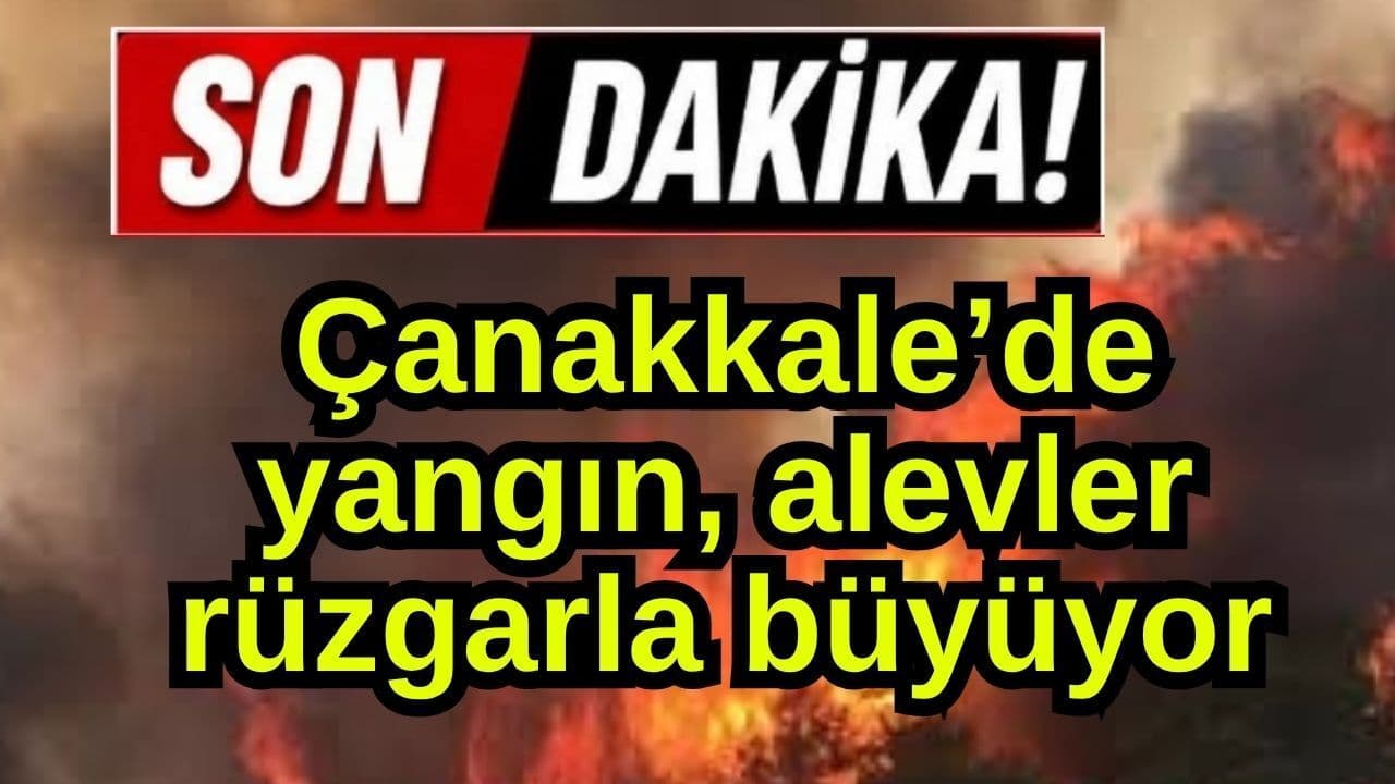 Çanakkale Gelibolu’da Alevler Rüzgarla Büyüyor