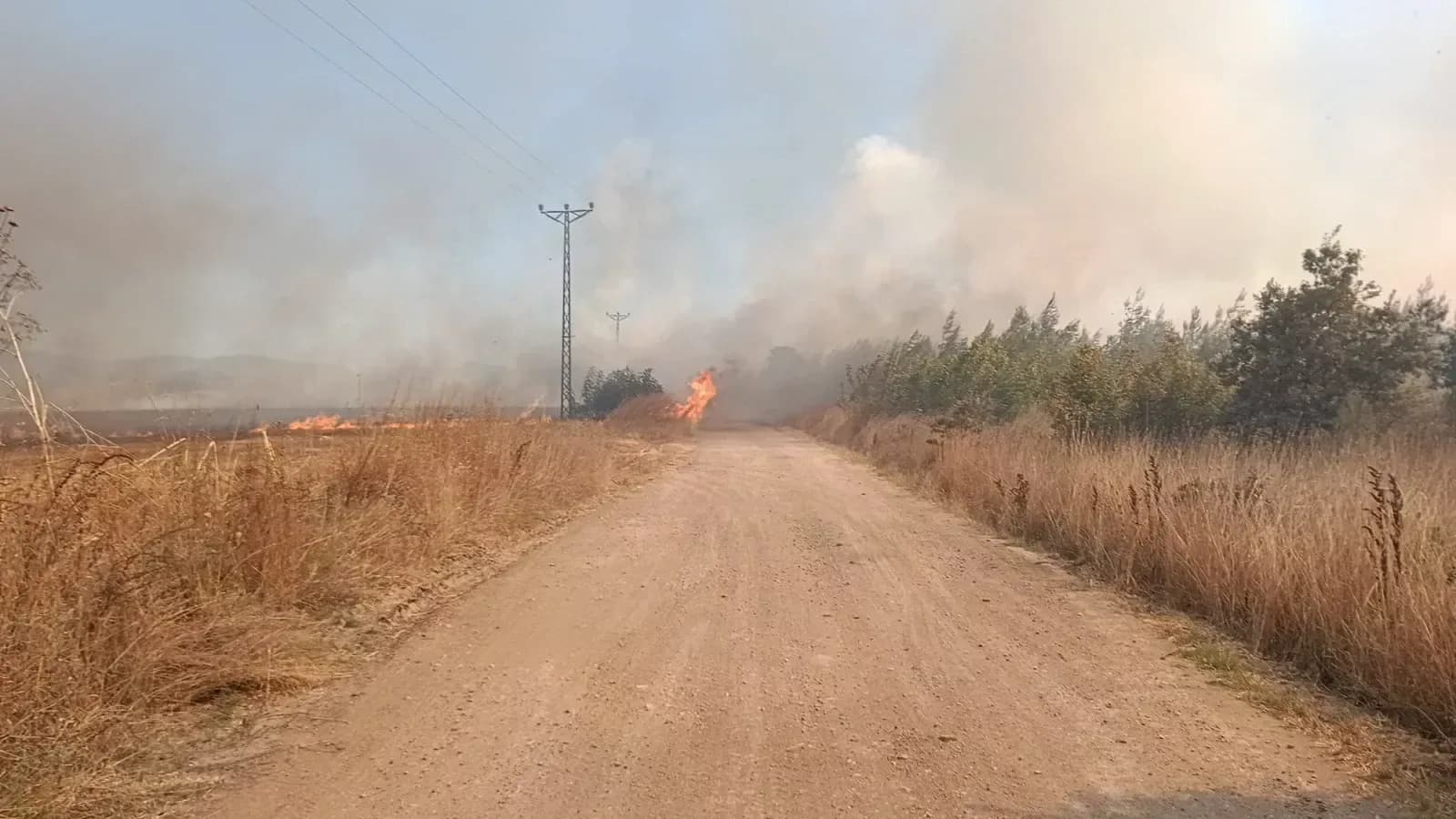 Biga Yangınına Müdahale Devam Ediyor