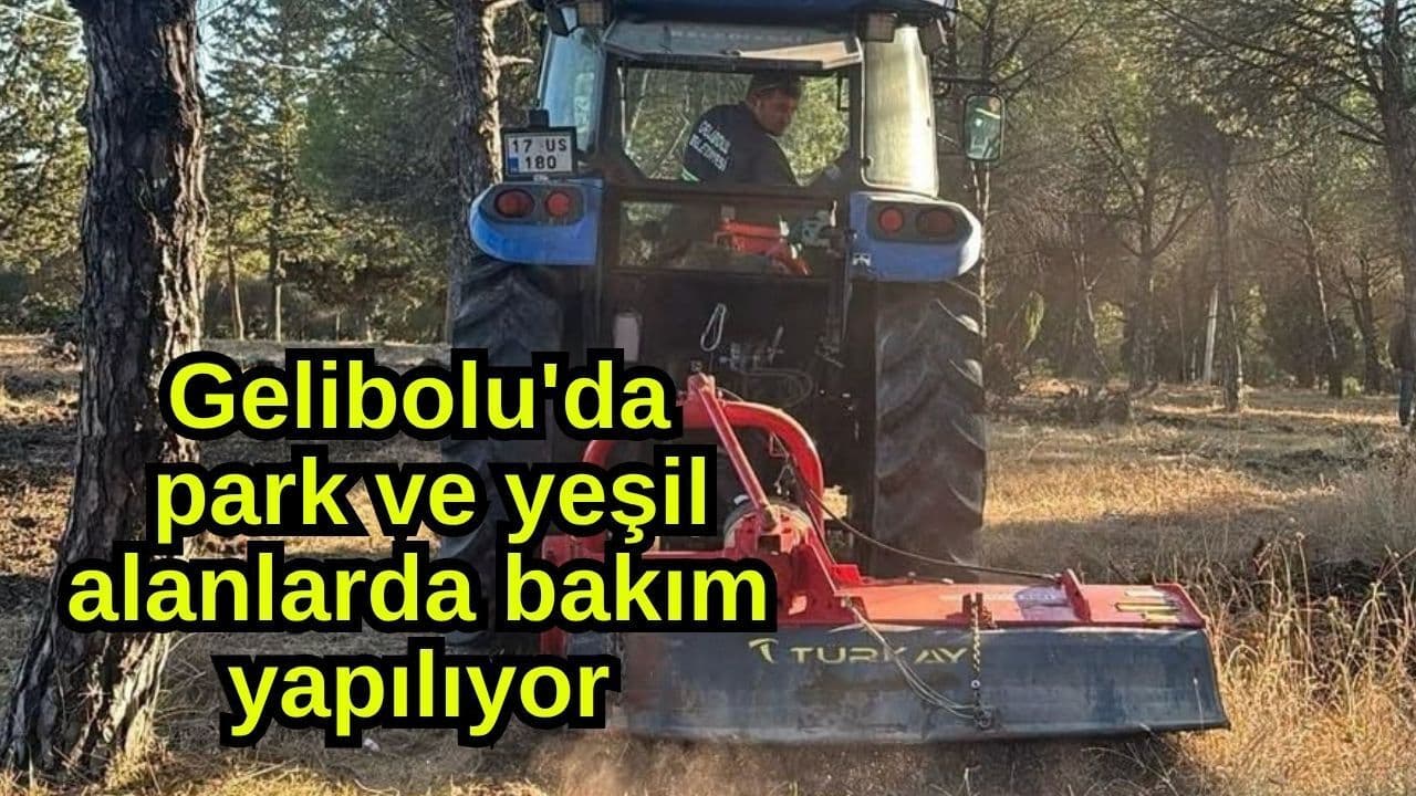 Gelibolu’da Altyapı, Üstyapı ve Yeşil Alan Bakım Çalışmaları Hız Kesmeden Devam Ediyor