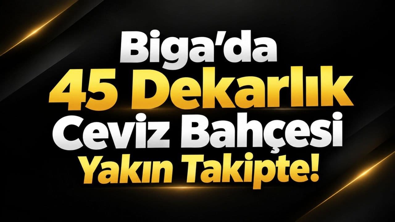 Biga’da 45 Dekarlık Ceviz Bahçesi Yakın Takipte!