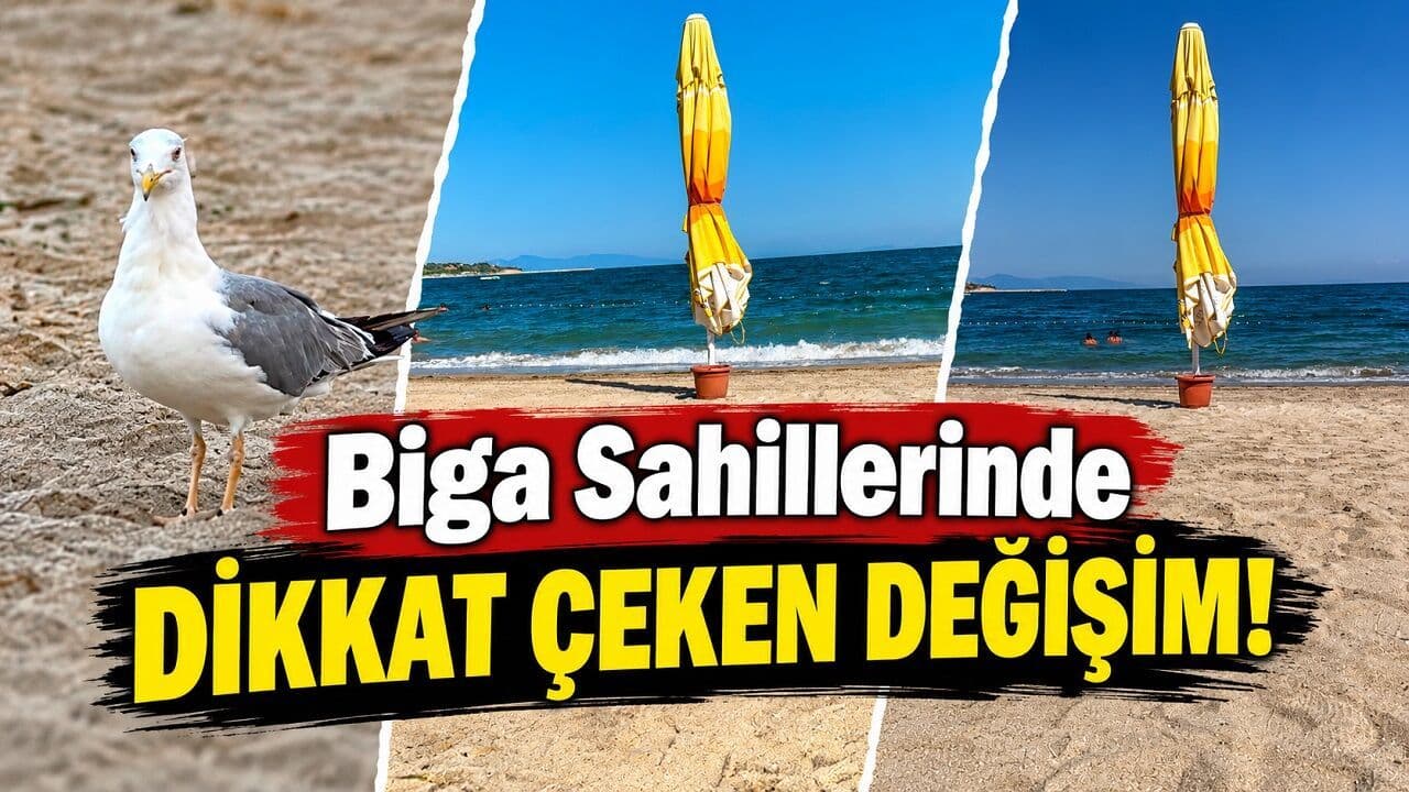Biga Sahillerinde Dikkat Çeken Değişim!