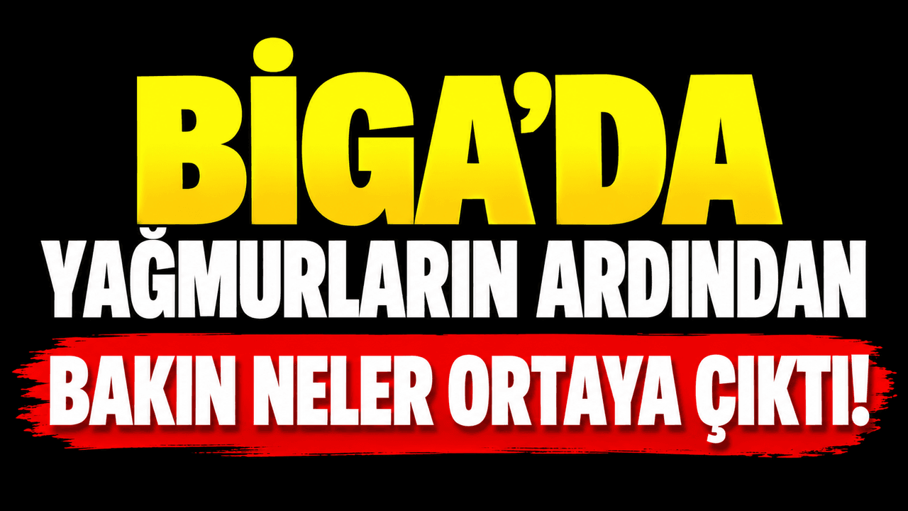 Biga’da Yağmurlardan Mantar Baharı: Sonbaharın Bereketi Çanakkale’de