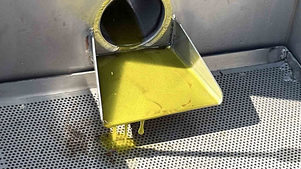 Bozcaada'da geçmişten gelen girişim, ürün toplama edilen zeytinler tarihinde ilk olarak adada yağa dönüştürüldü