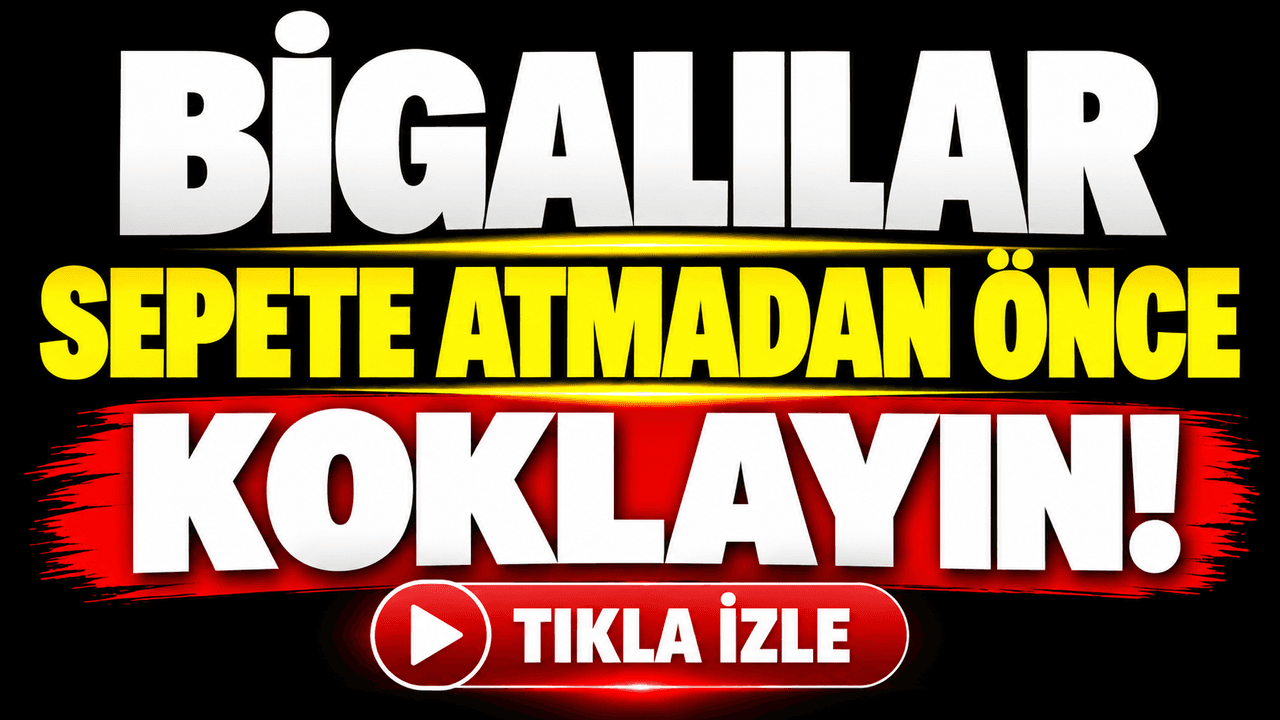 Biga'da Mantar Meraklılarına Hayati Uyarı: Toplamadan Önce Bu Detaylara Mutlaka Dikkat Edin!