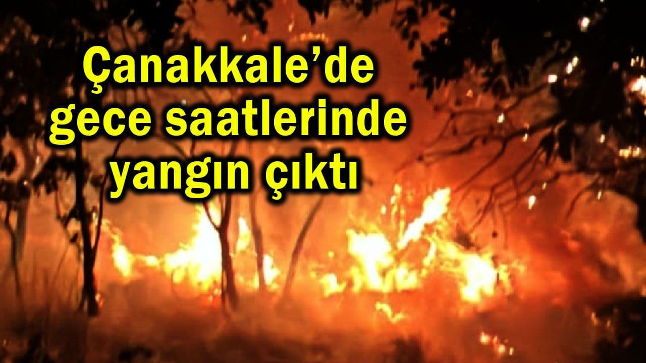 Gece saatlerinde yangın çıktı Çanakkale’de