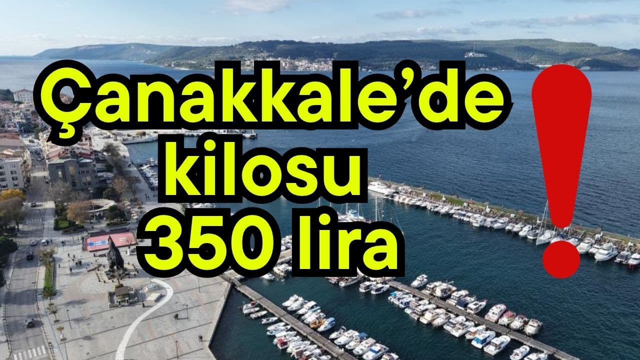 Çanakkale'de Hamsi ve Palamut Fiyatları 2026 – Sezon Balık Seçenekleri