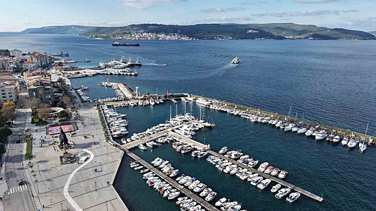 Çanakkale’de mavi denizanaları için önemli uyarı