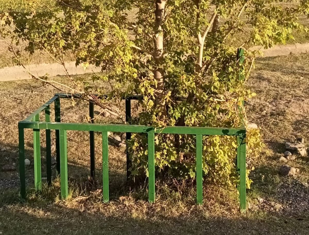 Çanakkale ruhu Erzurum yolunda