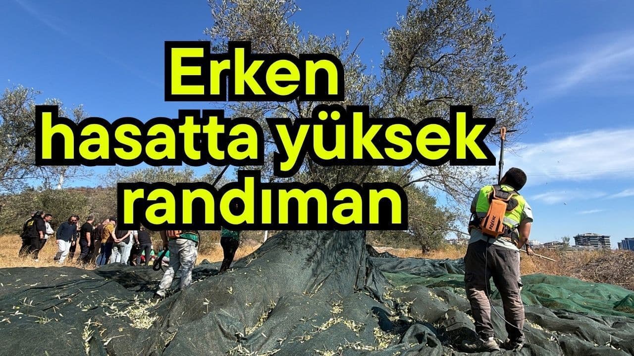 Erken hasatta üst düzey randıman