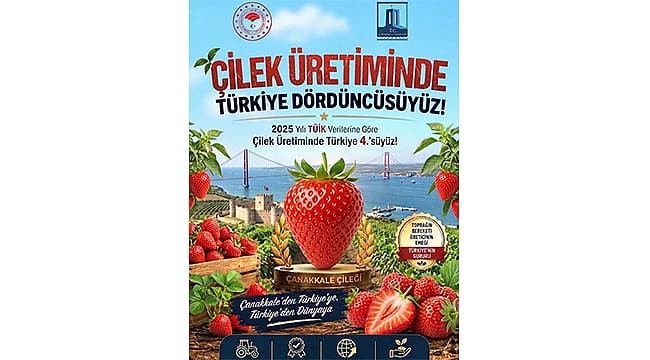 ÇANAKKALE ÇİLEK ÜRETİMİNDE TÜRKİYE DÖRDÜNCÜSÜ