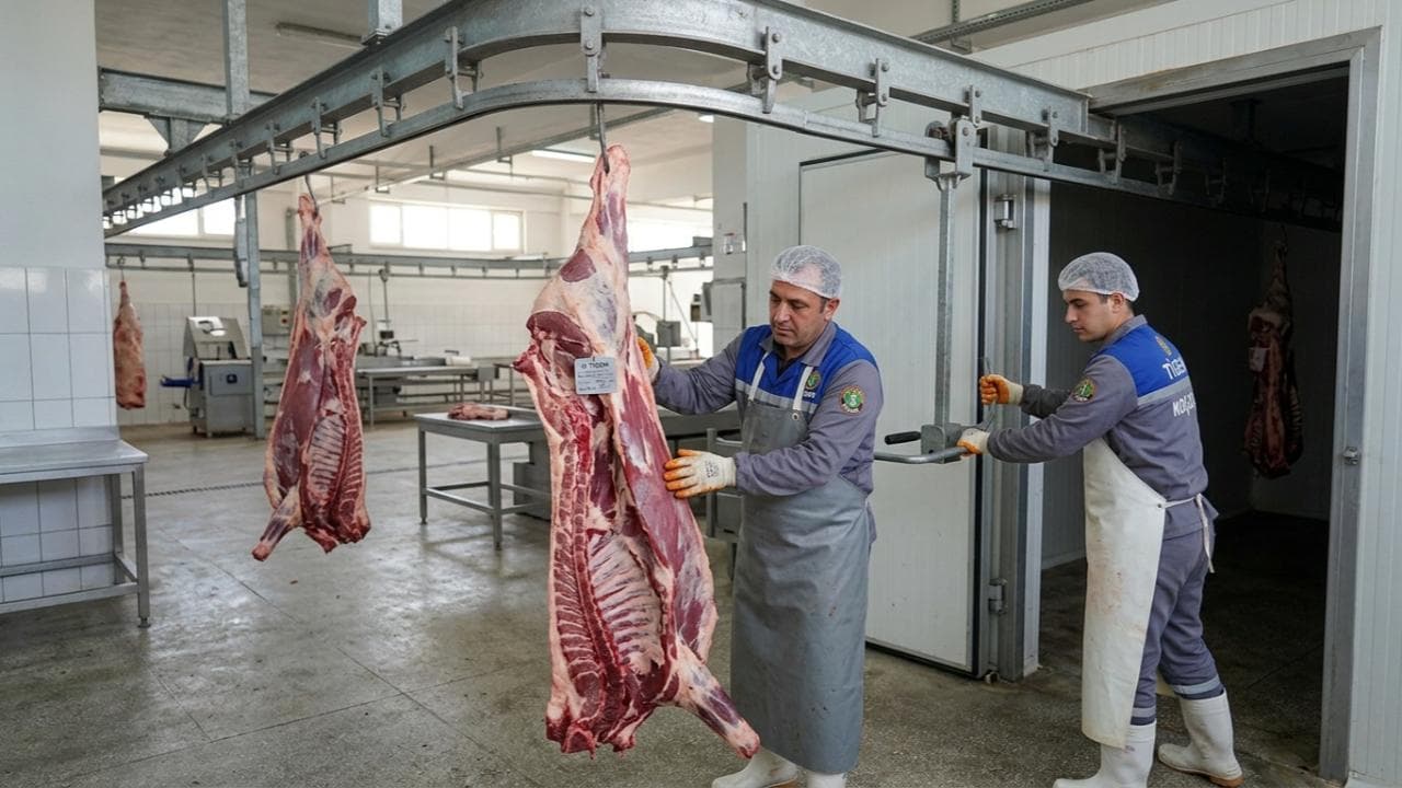 Koçaş Tarım İşletmesi'nden 20 Bin Kilo Karkas Sığır Eti Satışı: Toplam Değeri 8 Milyon TL
