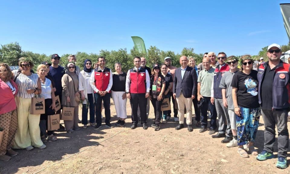 Bozcaada Zeytin Festivali 2024: Yedinci Kez Kapı Açıldı