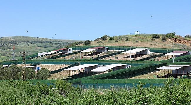 ÇANAKKALE'DE SAHİPSİZ HAYVANLAR İÇİN YENİ BİRLİK KURULDU