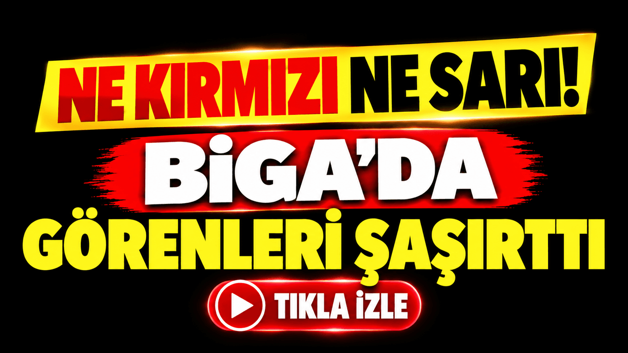 Biga’da Renkli Süslübolet Mantarı Göz Kamaştırdı