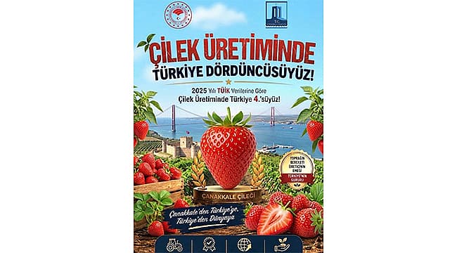 ÇİLEK ÜRETİMİNDE TÜRKİYE DÖRDÜNCÜSÜYÜZ