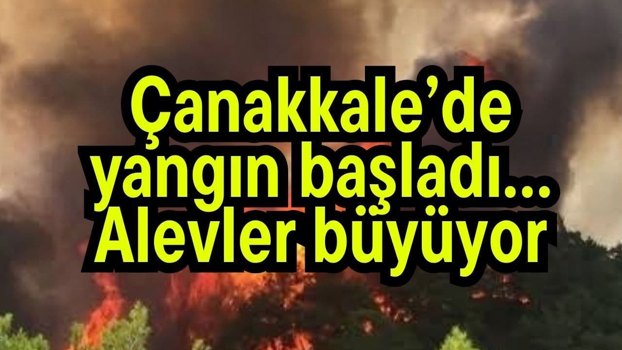 Yangın başlangıç yaptı… Alevler büyüyor Çanakkale’de