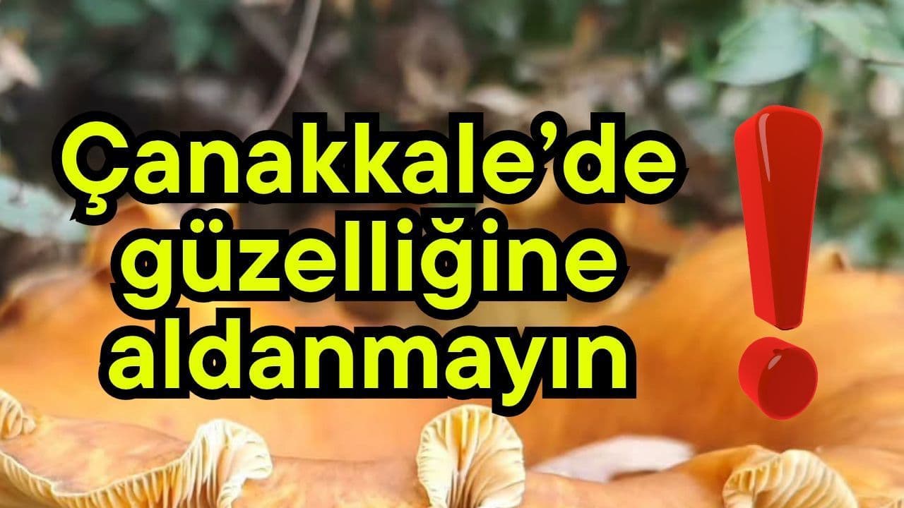Güzelliğine aldanmayın Çanakkale’de
