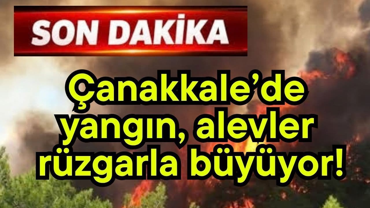 Çanakkale’de yangın, alevler rüzgarla büyüyor! (Video)