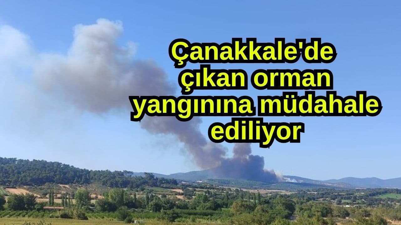 Çıkan ormanlık alan yangınına müdahale ediliyor Çanakkale'de