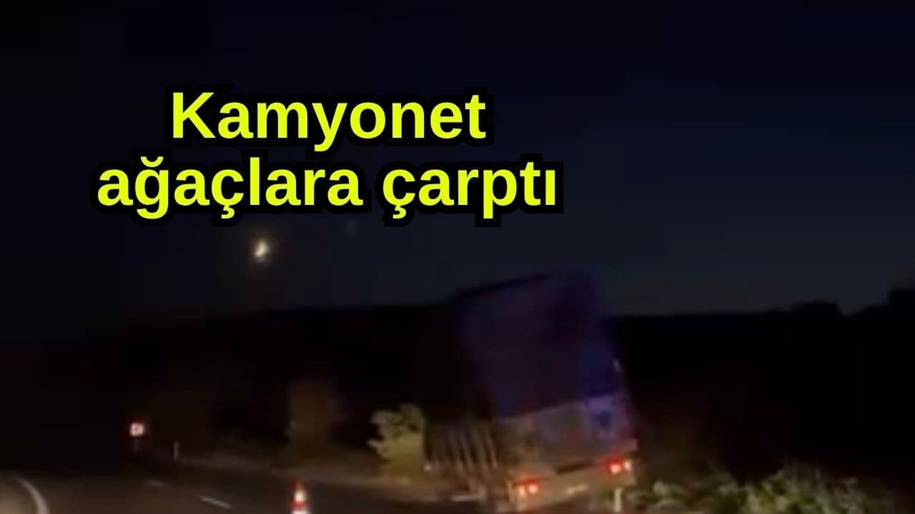 Kamyonet ağaçlara çarptı
