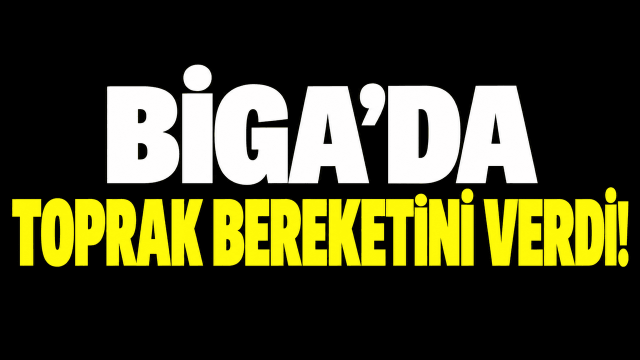 Biga’da toprak bereketini verdi!