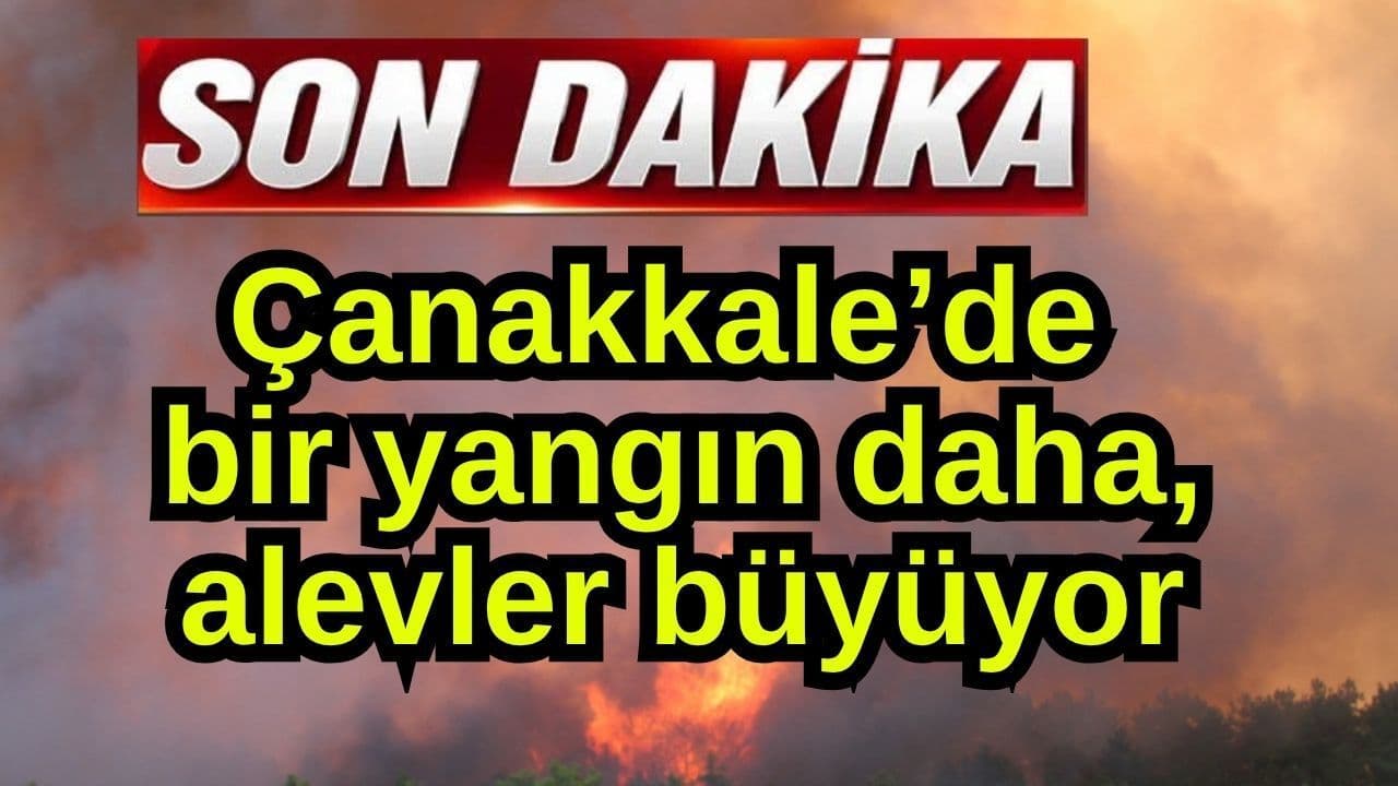Bir yangın daha, alevler büyüyor Çanakkale’de