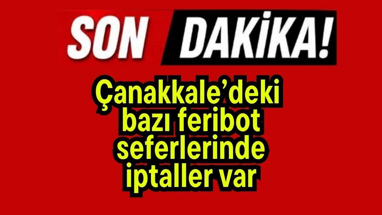 Çanakkale’deki bazı feribot seferlerinde iptaller var