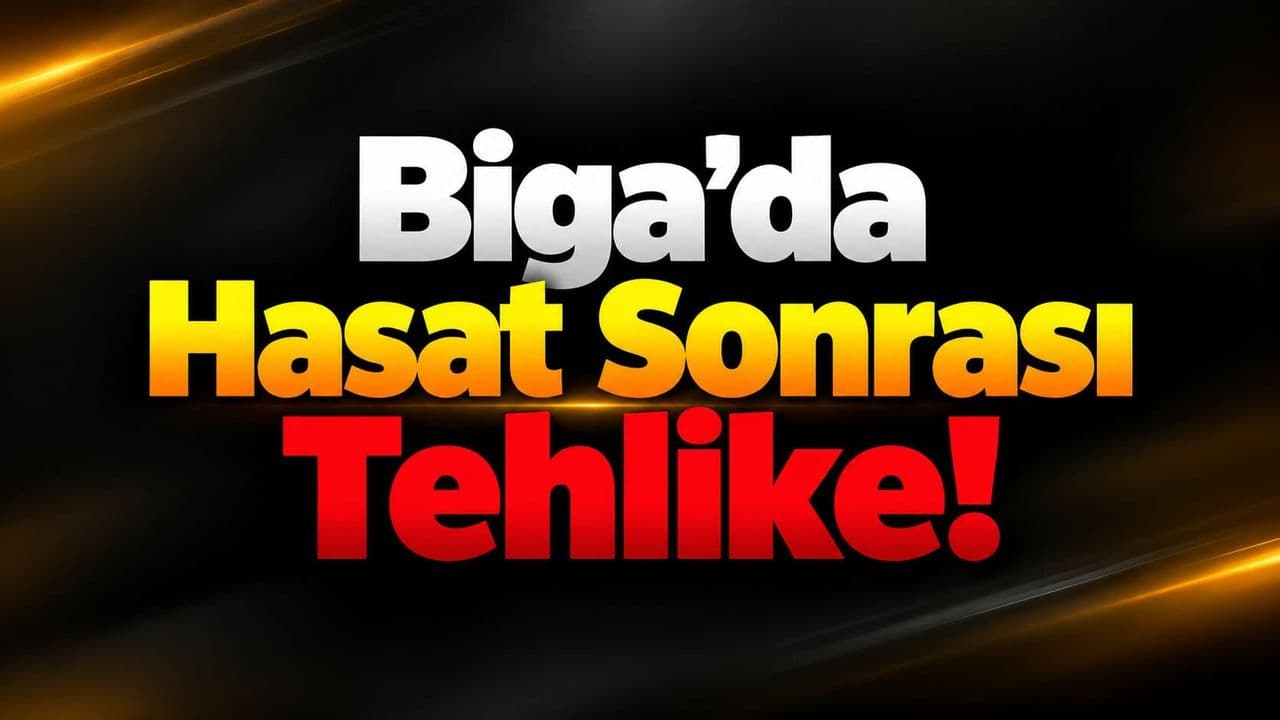 Hasat Sonrası Tehlike Biga’da
