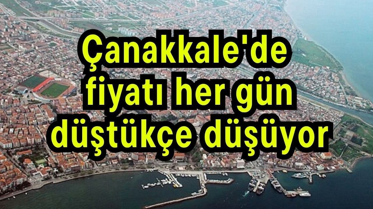Çanakkale’de Palamut Fiyatları Gün Boyunca Düşüyor
