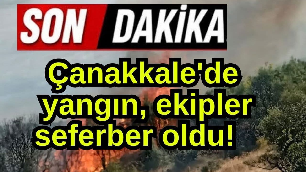 Ayvacık Dibekli Köyü'nde Orman Yangını Kontrol Altına Alındı