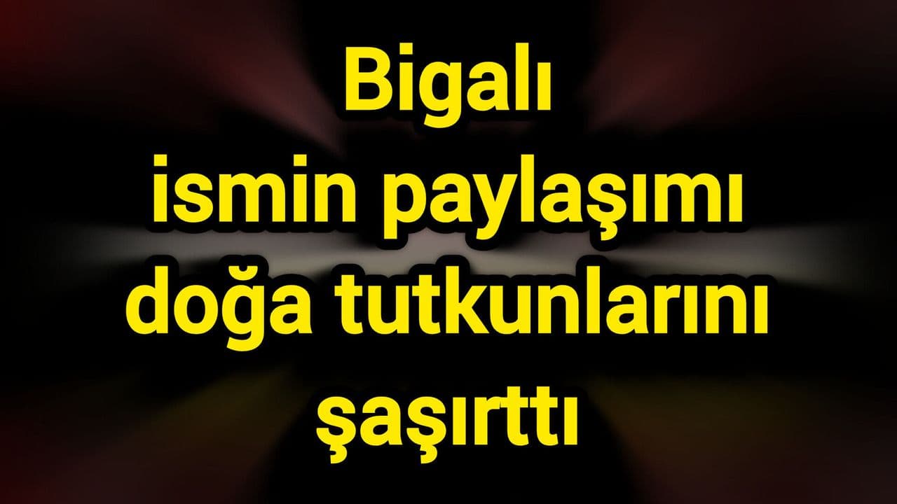Biga’dan Doğu Asya’nın Çikolata Sarmaşığı Tanıtıldı