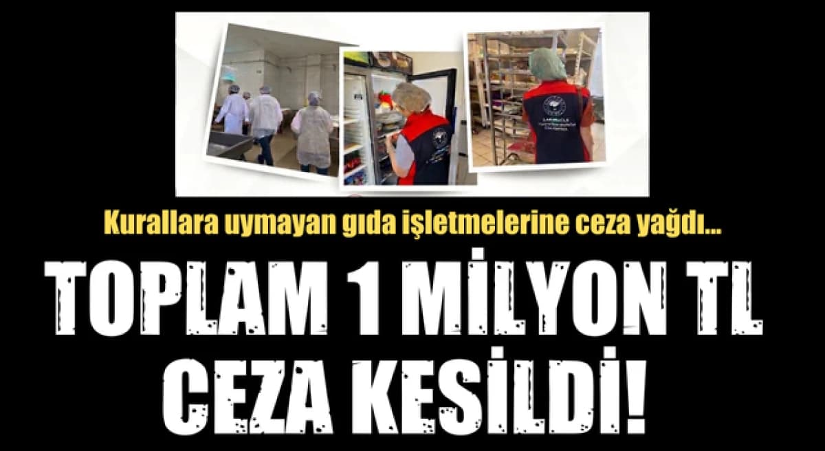 Çanakkale’de Gıda İşletmelerine 1 Milyon TL Ceza Yaptı!