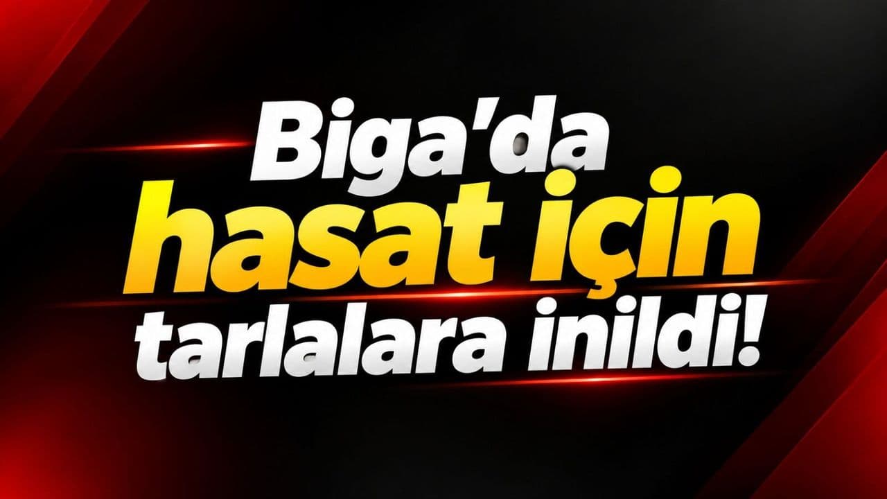 Biga’da ürün toplama için tarlalara inildi!