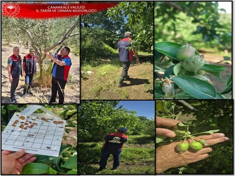 Çanakkale'de Sürdürülebilir Tarım İçin Mücadele Devam Ediyor
