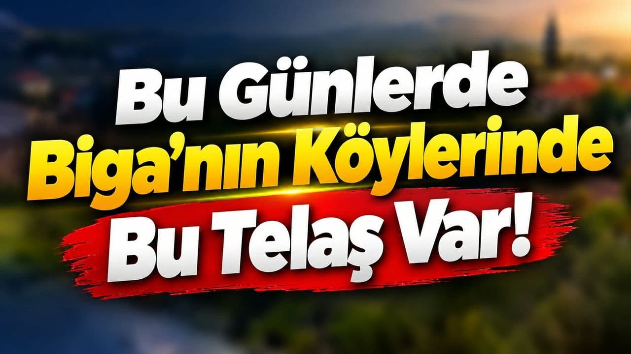 Biga Köylerinde Sonbahar Ceviz Hasadı Coşkusu