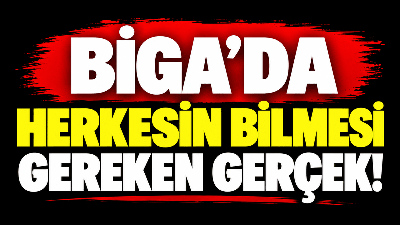 Biga'da Hayati Uyarı: Kuduz Tehdidine Karşı Bilinçli ve Hızlı Adımlar Şart!