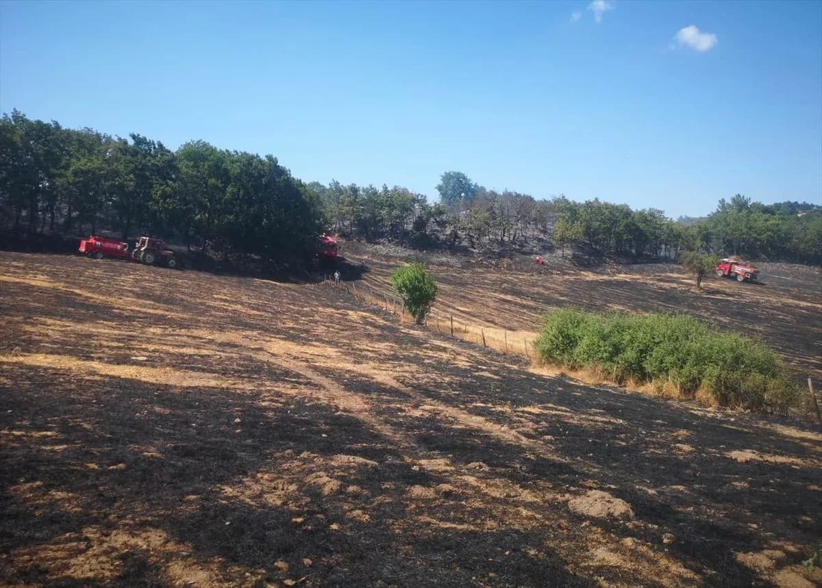 Çanakkale'de Orman Yangını Söndürüldü